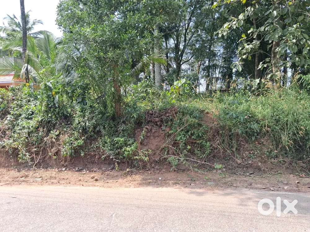 8.5 Cents Hilltop Residential Plot with 9.2m Tar frontage&Lorry Access