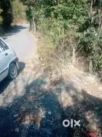 Land for sale in Shimla Ghanhhati