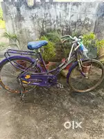 Queen ladies cycle for celling