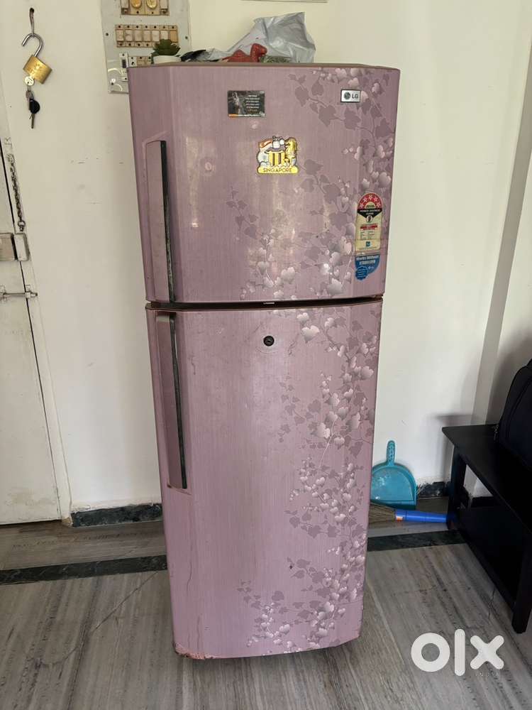 Double Door Fridge