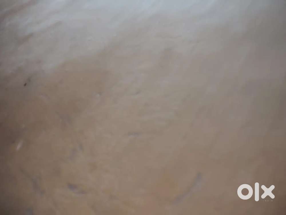 Office near Metro Station and Rail station