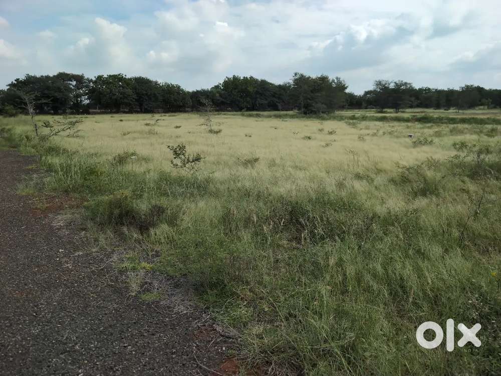 Plot for rent thaliyapatti road velliyanai karur