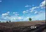Agricultural land sale 2 acres
