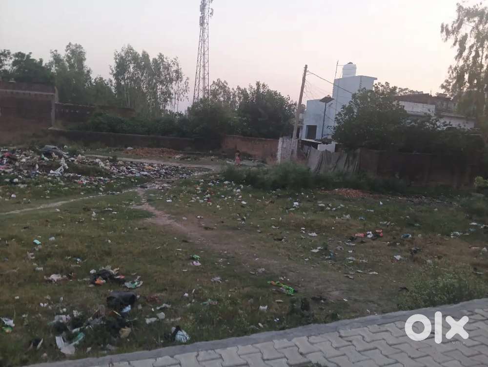 Urgent sale money problem. Mohanpura baadli tanda