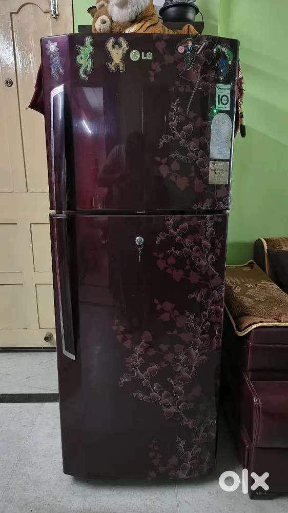 LG Fridge 240L Double Door