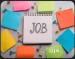 You can choose your working hours