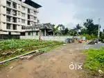 ആലുവ ദേശം ഗാന്ധിപുരം ബസ് സ്റ്റോപ്പ് അടുത്തായി 7സെന്റ് സെന്റ് 3.60lakh