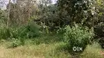 House plot selling near mc road