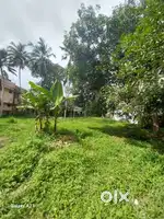 Premium house plot for sale peroorkada