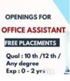 office Assistant needed