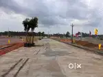 Open plots with spot registration