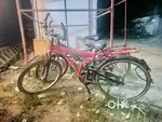 Cycle for sale