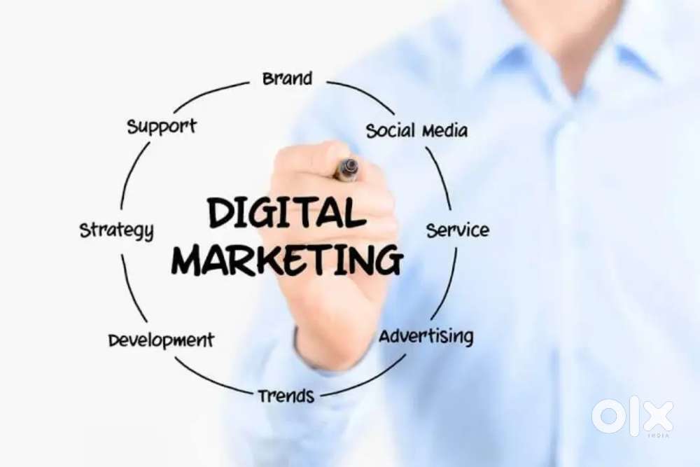 Wanted Digital marketing manager