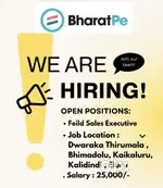 BharatPe Executive