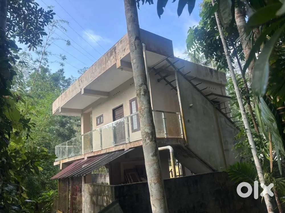 Multi-purpose business dryland for sale