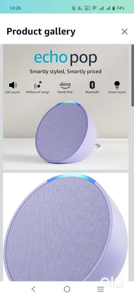 Eco dot alexa