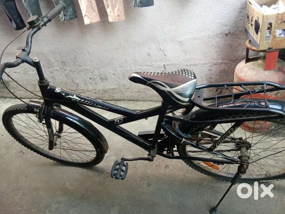 Bycycle Hercules