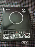 Induction 2000watt