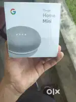 Google nest mini speaker