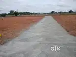 Low budget DTCP land for sale in sulur