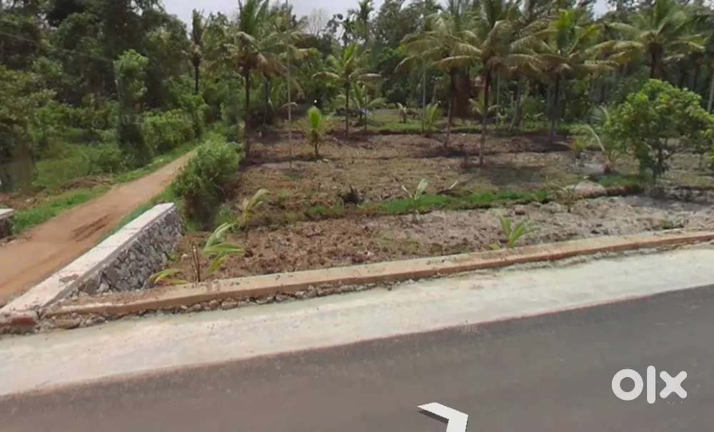 Land for Sale – Balanpillacity, Near Ramakkalmedu