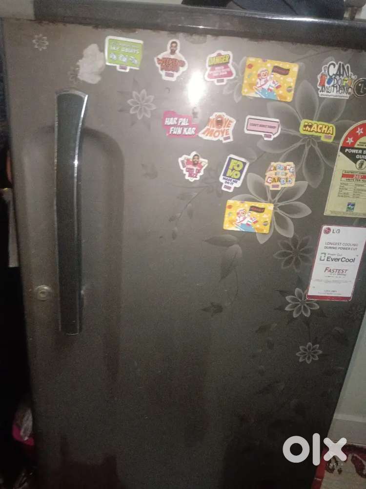Lg refrigerator