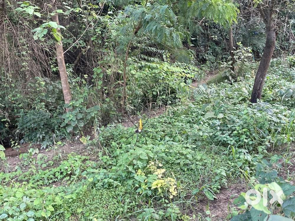 urgent sale contct me lenght and breath