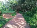 13 Cent Residential Land For Sale at Talap, Kannur (nz)