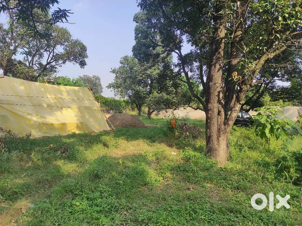 20 Acre Agriculture Land for Sale in village Rail Majra