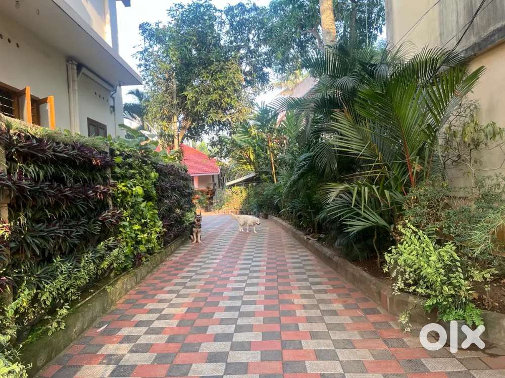 4 cent plot for sale indranager peroorkada