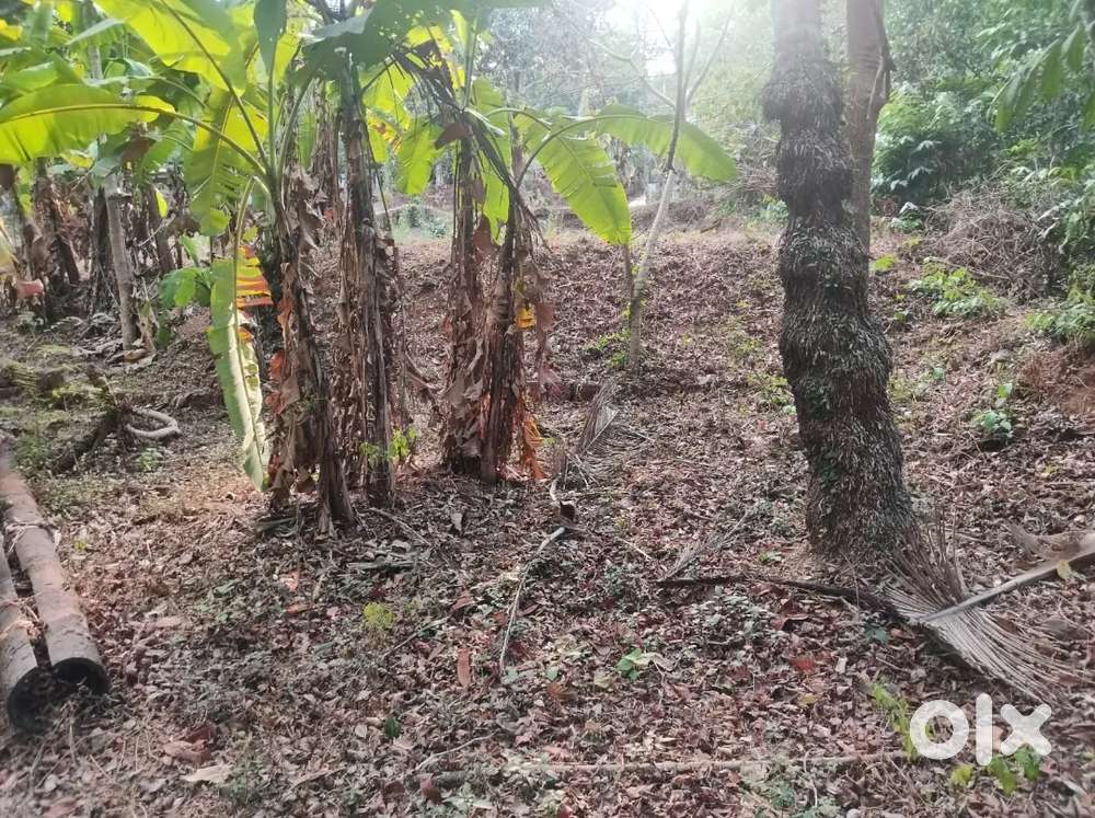 14 cents of plot for sale