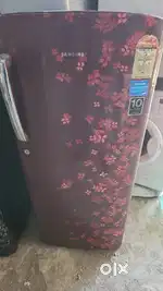 Fridge and washing machine