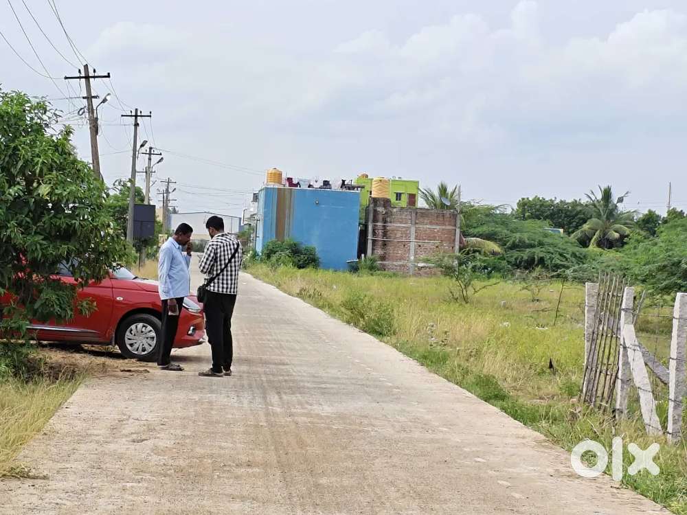 Sholavaram angadu area plot sale 1300