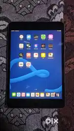 Ipad mini 5 wifi only
