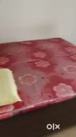 1 Studio appartment in rent available