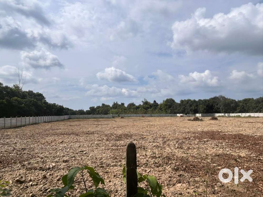 4 bheega land for sale on chandrika devi road lucknow