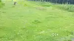 Good Location