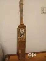 Champ bat english willow