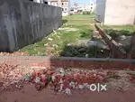 पांडेपुर से 4 किलोमीटर गोईठहा (बेलवा बाबा लमही) में प्लॉट