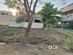 PLOT FOR SALE