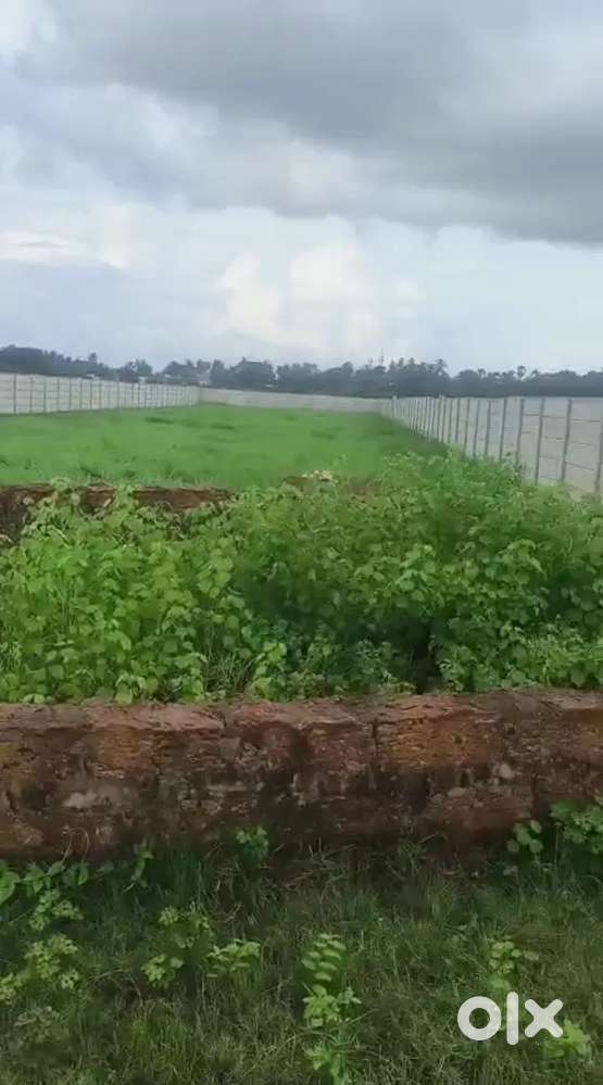 Premium residential Land for sale at Pahala-15400 sq.ft. Rs4500/sq.ft