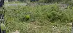 Plot for Sale, Kadugodi