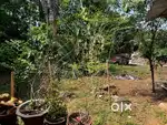 Land with House