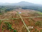 VIZAG RESORT FARMLANDS FOR SALE