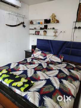 3 Bhk On rent In Sector 22c Chandigarh