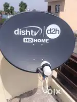 D2h Full Set 10 month cashback offer+OTT