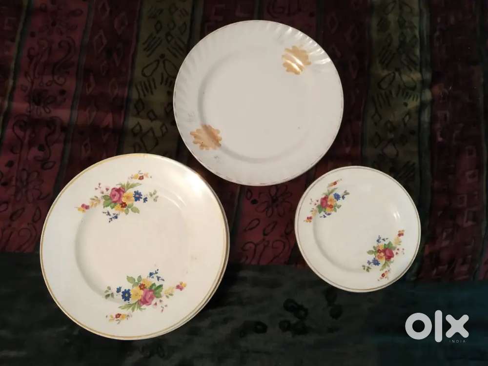 8 standard size plate 6 small plate