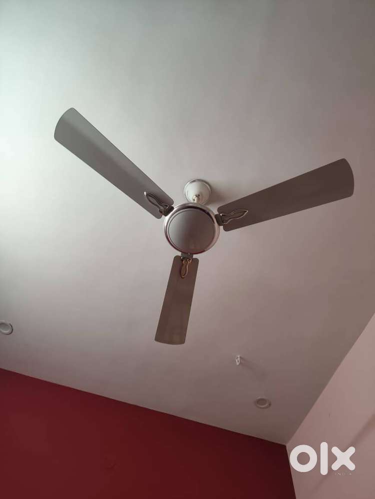 Ceiling Fan