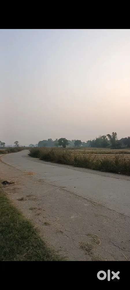 1000rs per sq/ft commercial plot