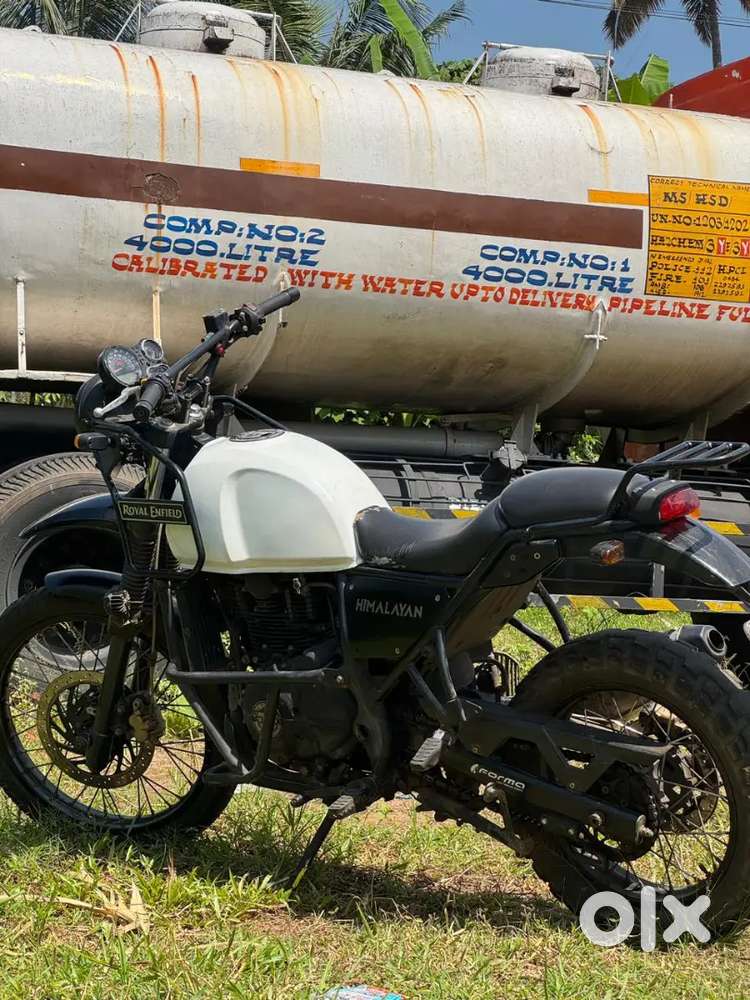 Himalayan Urgent Sale